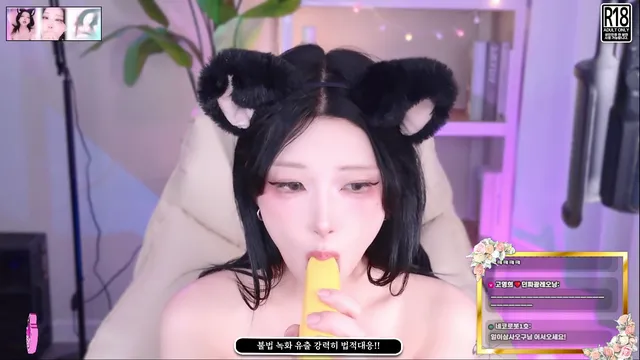 [Korean BJ] twingo1125 2025-04-21-kbjkorean