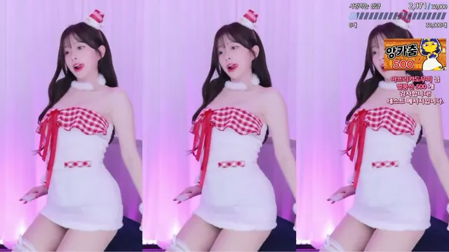 [Korean BJ] flower1023 2024-12-23-kbjkorean