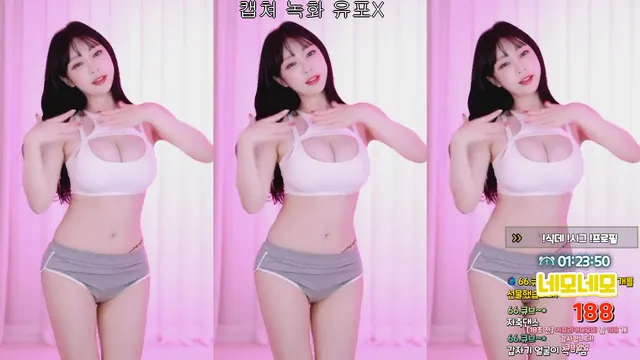 [Korean BJ] y970308 2024-12-25-kbjkorean