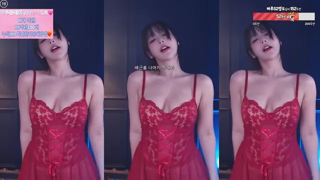 [Korean BJ] sol3712 2024-11-10-kbjkorean