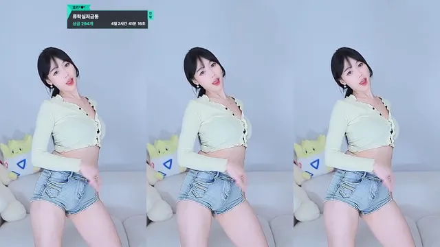 [Korean BJ] purelove2 2025-09-11-kbjkorean