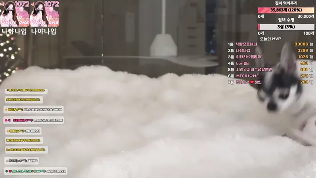 [Korean BJ] homegirl 2026-01-05-kbjkorean