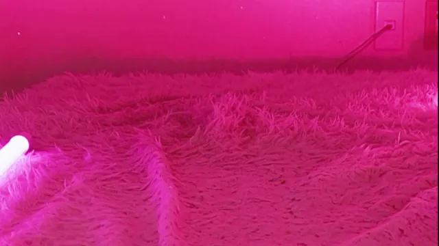 [Korean BJ] heenoo 2026-01-26-kbjkorean