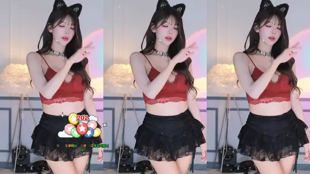 [Korean BJ] dign1461 2025-12-25-kbjkorean