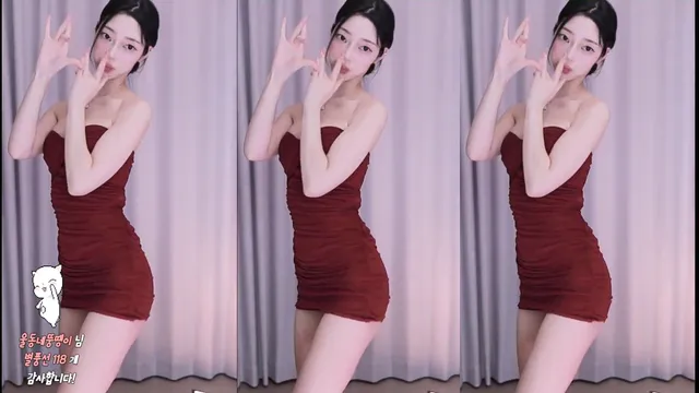 [Korean BJ] big541 2024-12-20-kbjkorean