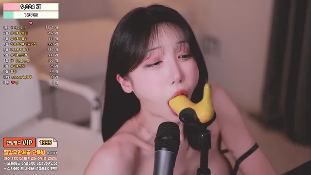 [Korean BJ] howru010 2025-04-08-kbjkorean